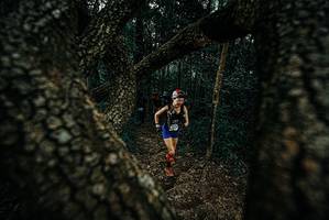 BIB: 
                            <button type="button" onclick="openModal(25687666)" class="btn btn-primary btn-sm float-right btn-popup" data-toggle="modal" data-target=".modal-high-quality">
                        <i class="fas fa-shopping-cart"></i> Add to Cart
                    </button>
                                            <button type="button" onclick="isThisMe(25687666, true)" class="btn btn-success btn-sm float-right btn-popup btn-isme hidden" data-toggle="tooltip" data-placement="bottom" title="นี่คือรูปของคุณใช่ไหม คลิกที่นี่เพื่อเอาเข้าอัลบั้ม">
                        <i class="fas fa-plus"></i> Add to album
                    </button>
                    <button type="button" onclick="isThisMe(25687666, false)" class="btn btn-warning btn-sm float-right btn-popup btn-isnotme hidden">
                        <i class="fas fa-ban"></i> Remove from album
                    </button>